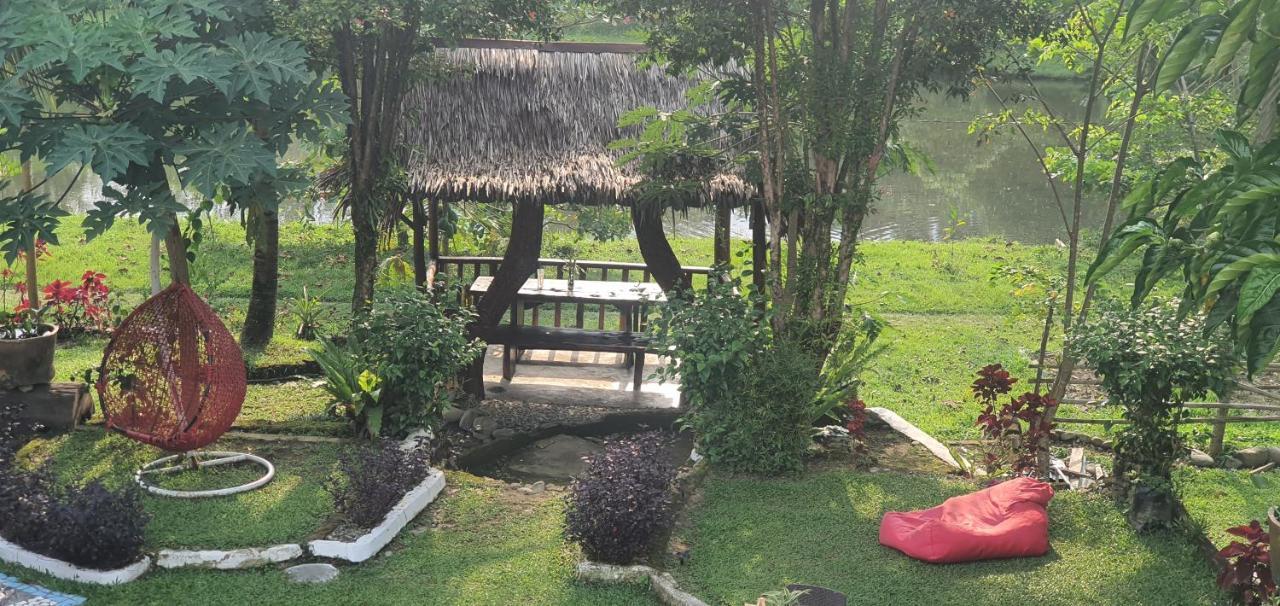 Hotel Sumatra Cheeky Monkeys à Bukit Lawang Extérieur photo