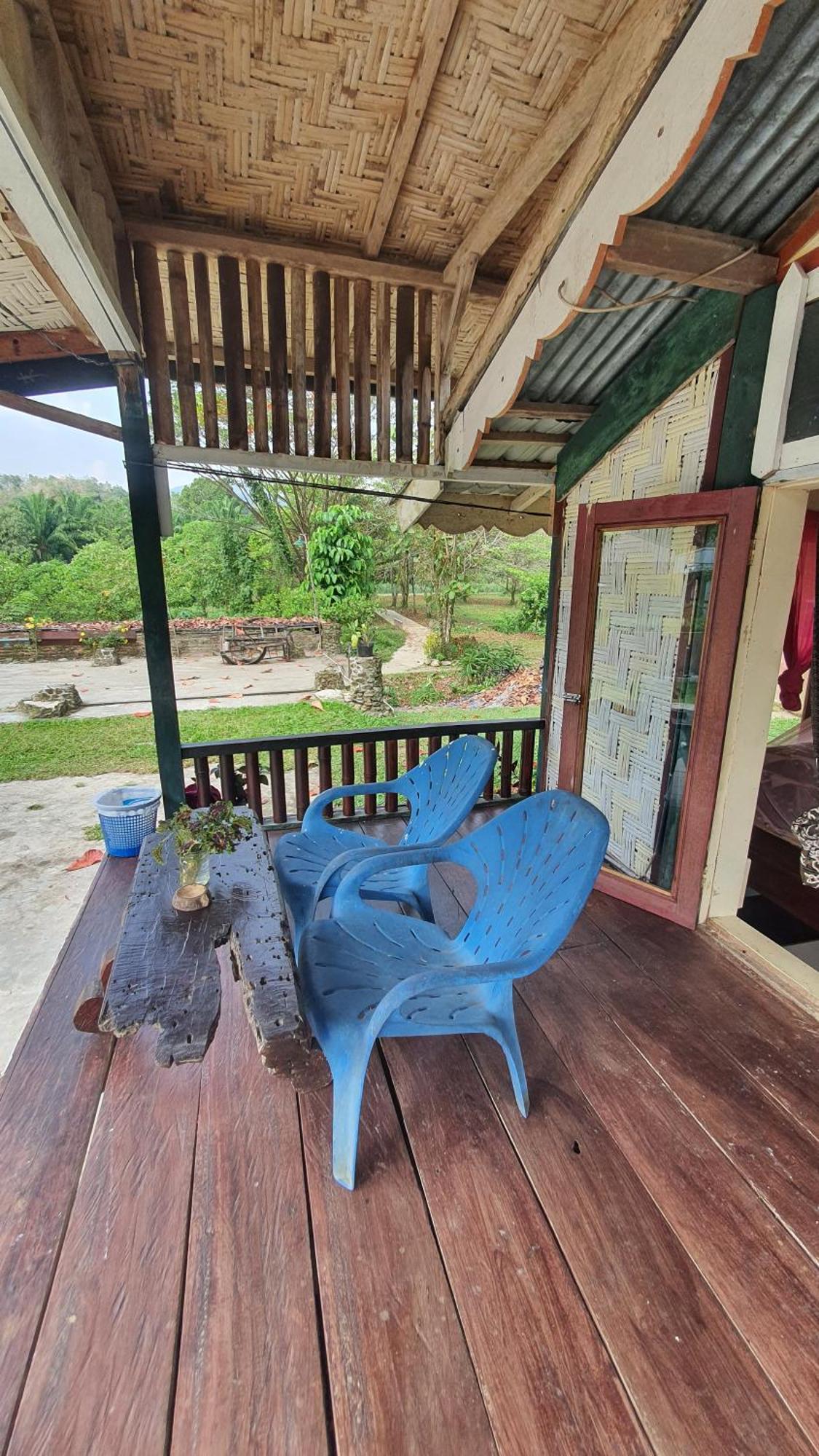 Hotel Sumatra Cheeky Monkeys à Bukit Lawang Extérieur photo