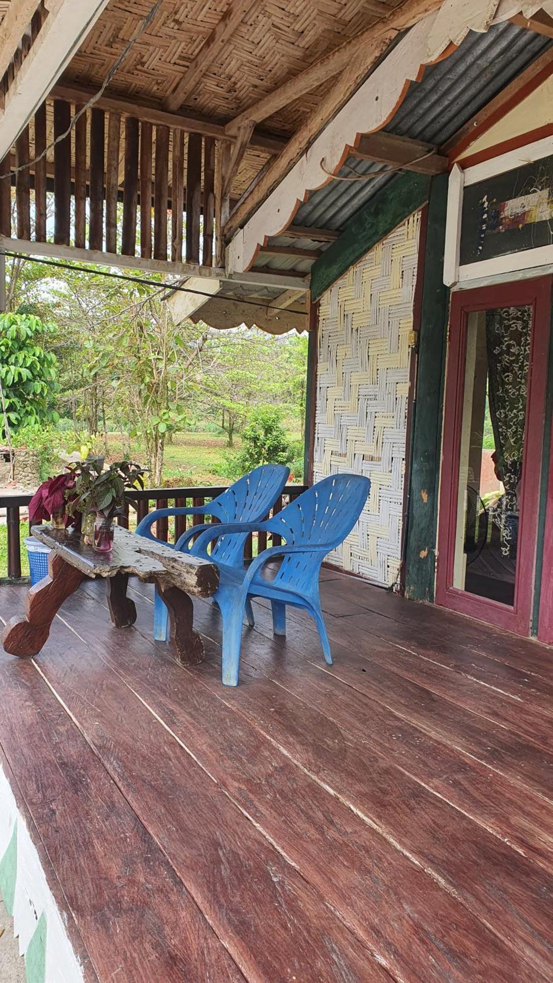 Hotel Sumatra Cheeky Monkeys à Bukit Lawang Extérieur photo